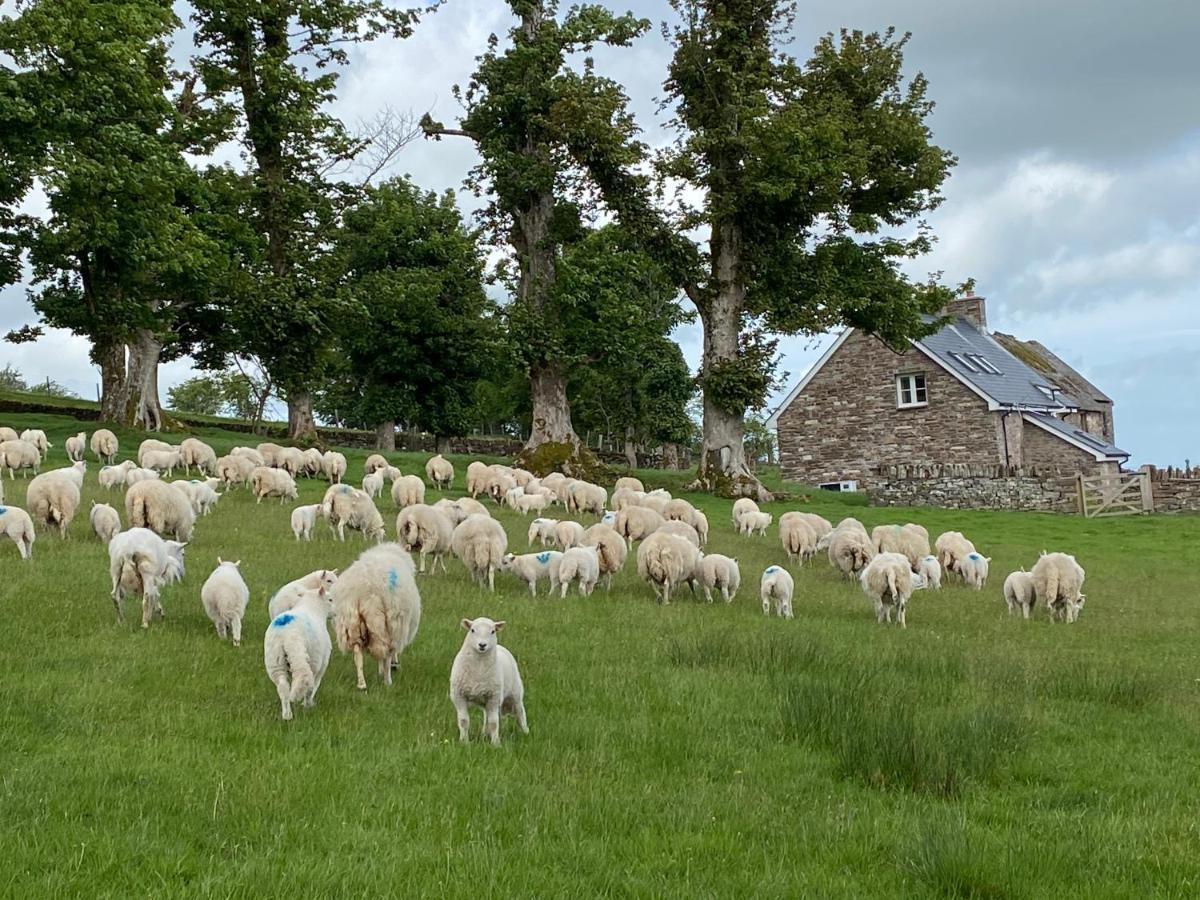 Pant Llwyd Farm Villa Llangynidr Екстериор снимка